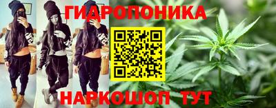 герыч Новодвинск