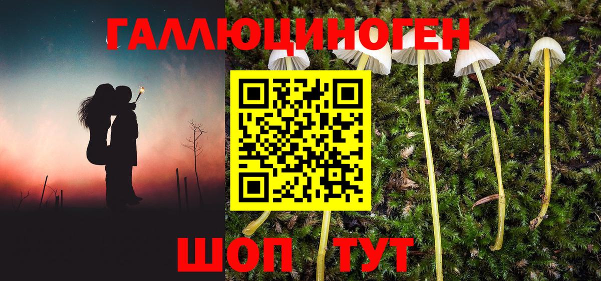 Урюпинск  Галлюциногенные грибы Cubensis  Вход с VPN 