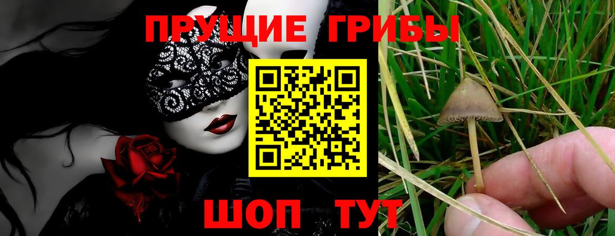 Галлюциногенные грибы прущие грибы Урюпинск